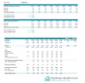 LBO model - Leveraged Buyout Analysis