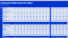 Highly Customizable Enterprise SaaS Financial Model