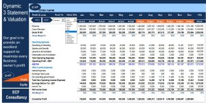 Monthly Dynamic 3 Statements & Valuation