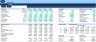 Monthly Dynamic 3 Statements & Valuation