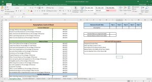 Do-It-Yourself DCF Valuation Blank Template with Forecasting