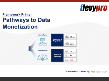 Data Monetization Strategy