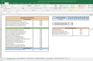 Colgate Palmolive India Valuation Excel Model: Complete DCF Valuation with Forecasted Financial Statements