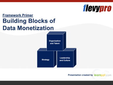 Building Blocks of Data Monetization