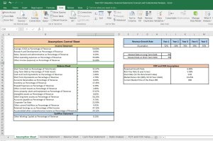 Trent Valuation Excel Model: Complete DCF Valuation with Forecasted Financial Statements