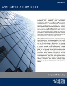 Explanatory Brochure on the Anatomy of a Term Sheet