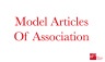Model Articles of Association