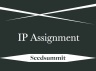 Intellectual Property Assignment Template