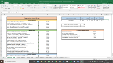 Endurance Valuation Excel Model: Complete DCF Valuation with Forecasted Financial Statements
