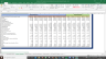 Endurance Valuation Excel Model: Complete DCF Valuation with Forecasted Financial Statements