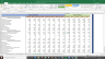 Endurance Valuation Excel Model: Complete DCF Valuation with Forecasted Financial Statements