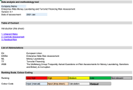 Enterprise Wide AML, CTF, Sanctions Risk Assessment (EWRA) template ...