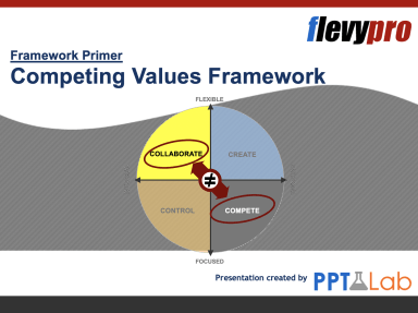 Competing Values Framework (CVF)