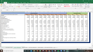 Entertainment Network India Valuation Excel Model: Complete DCF Valuation with Forecasted Financial Statements