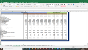 Future Lifestyle Fashion Valuation Excel Model: Complete DCF Valuation with Forecasted Financial Statements