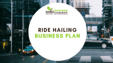 Ride Hailing App Business Plan
