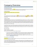 Life and Health Insurance Business Plan Template
