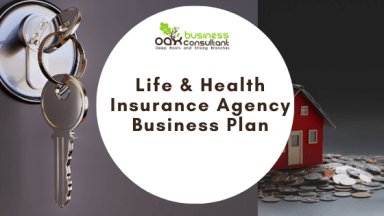 Life and Health Insurance Business Plan Template