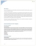 E-commerce Travel Accessories Business Plan Template