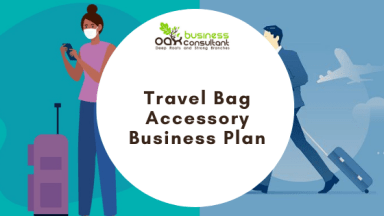 E-commerce Travel Accessories Business Plan Template