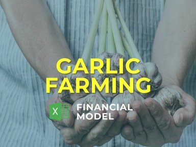 Garlic Farming Financial Model - FREE TRIAL