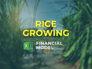 Rice Growing Financial Projection Template - FREE TRIAL
