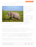 Get a Loan for your Business in a Few Easy Steps - Page 3