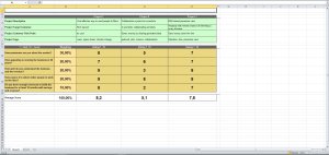 FI Project Analysis Template