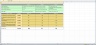 FI Project Analysis Template
