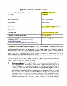 Convertible Note Template