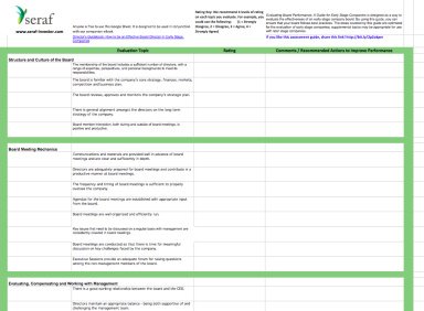 Startup Board Performance Evaluation Template