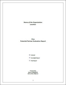 Due Diligence Template