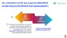 Big Bang - Strategic Valuation
