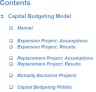 Capital Budgeting Model
