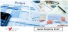 Capital Budgeting Model