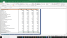 DaVita HealthCare Partners Inc Complete Fundamental Analysis Excel Model