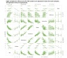 Scatter Plot Matrix in Excel (12x12 panels) with Correlation Matrix