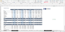 Due Diligence P&L - Exhaustive Revenue and Costs analysis template