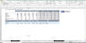 Due Diligence P&L - Exhaustive Revenue and Costs analysis template