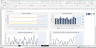 Due Diligence P&L - Exhaustive Revenue and Costs analysis template