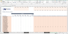 Due Diligence P&L - Exhaustive Revenue and Costs analysis template