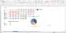 Due Diligence P&L - Exhaustive Revenue and Costs analysis template