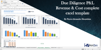Due Diligence P&L - Exhaustive Revenue and Costs analysis template