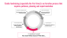 Startup Studio  Fundraising Fundamentals - Public version - Page 5