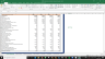 IDEXX Laboratories Complete Fundamental Analysis Excel Model