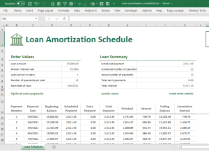 Loan Amortization Schedule in Microsoft Excel