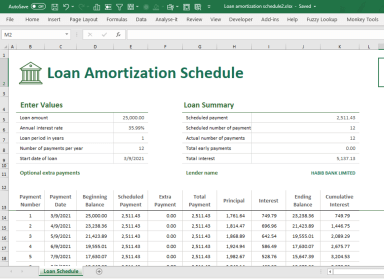 Loan Amortization Schedule in Microsoft Excel