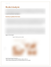 Car Dealer Business Plan