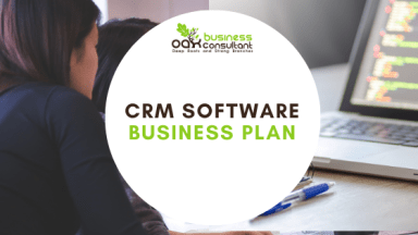 CRM Software Business Plan