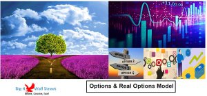 Options and Real Options